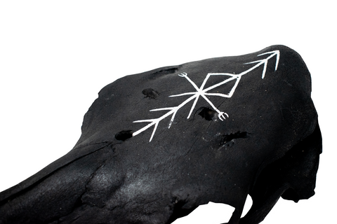 Image of Blackened Cow Skull with Home Protection Bindrune