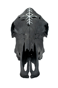 Blackened Cow Skull with Home Protection Bindrune