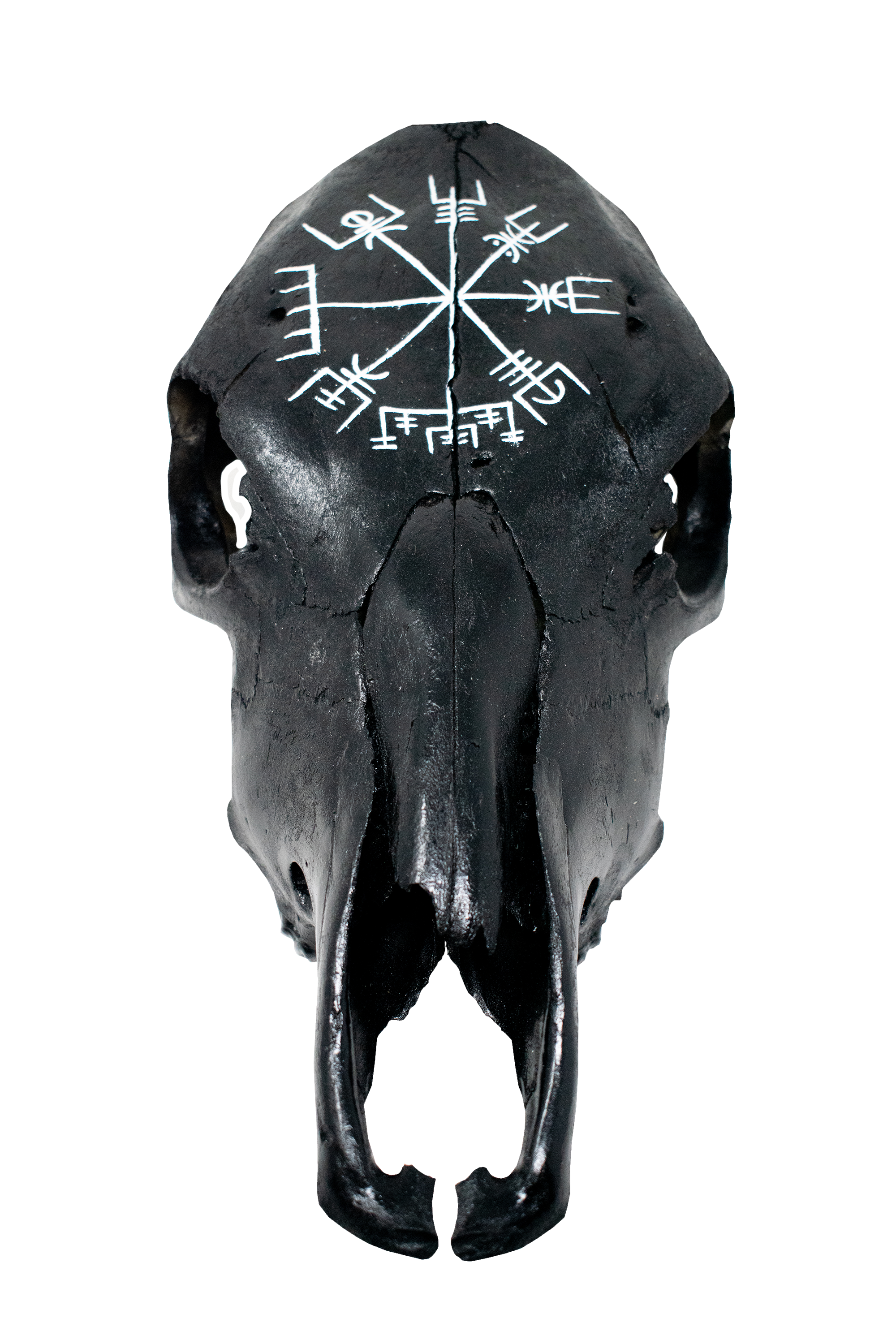 Blackened Cow Skull with Vegvísir