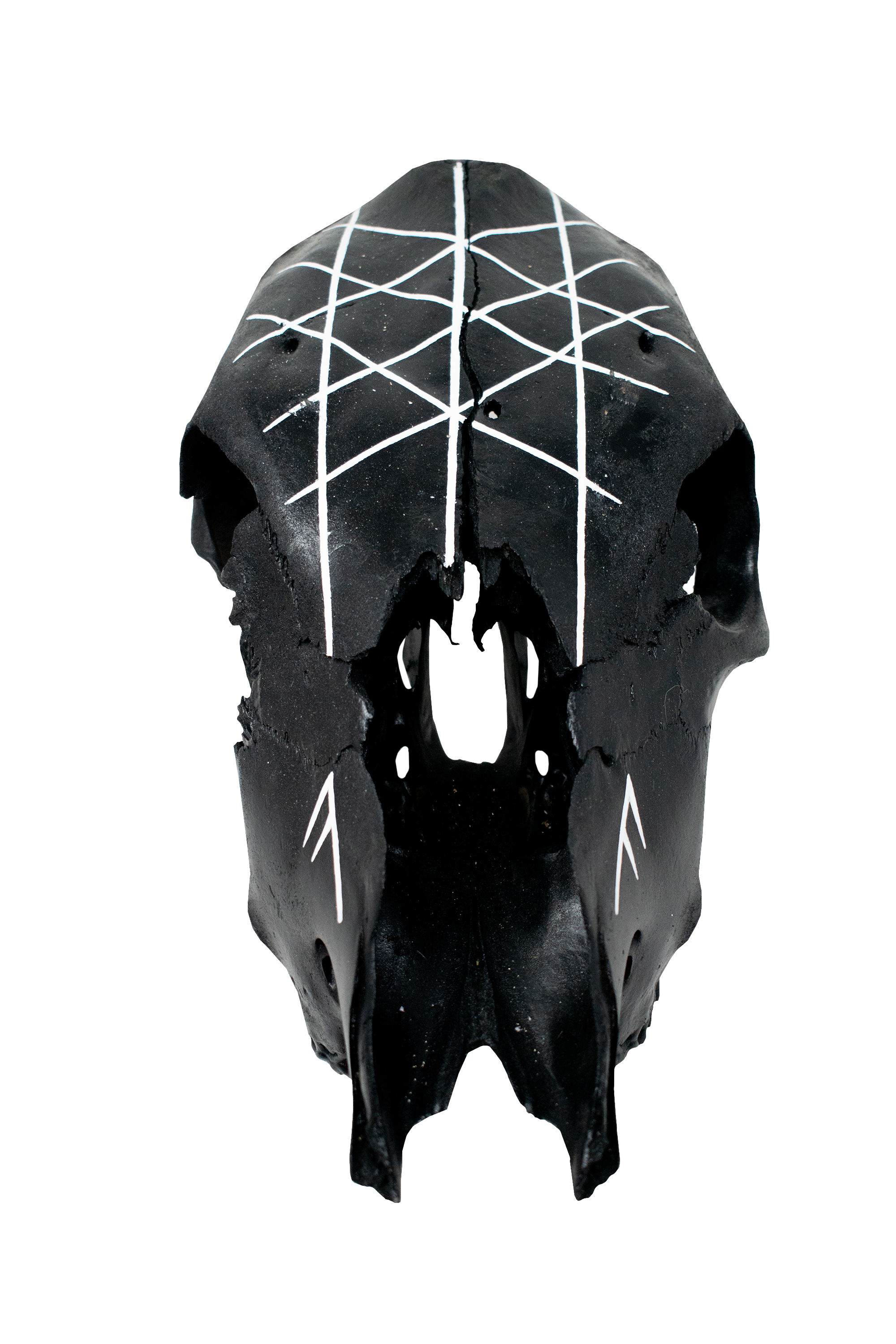 Blackened Cow Skull Web of Wyrd Ritual Piece