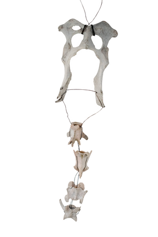 Image of Coyote Bone Wind Chime