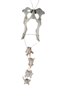 Coyote Bone Wind Chime