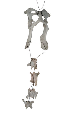 Image of Coyote Bone Wind Chime