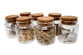 jar of bones or teeth