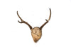 antler #2