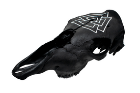 Blackened Cow Skull with Hand Painted Valknut