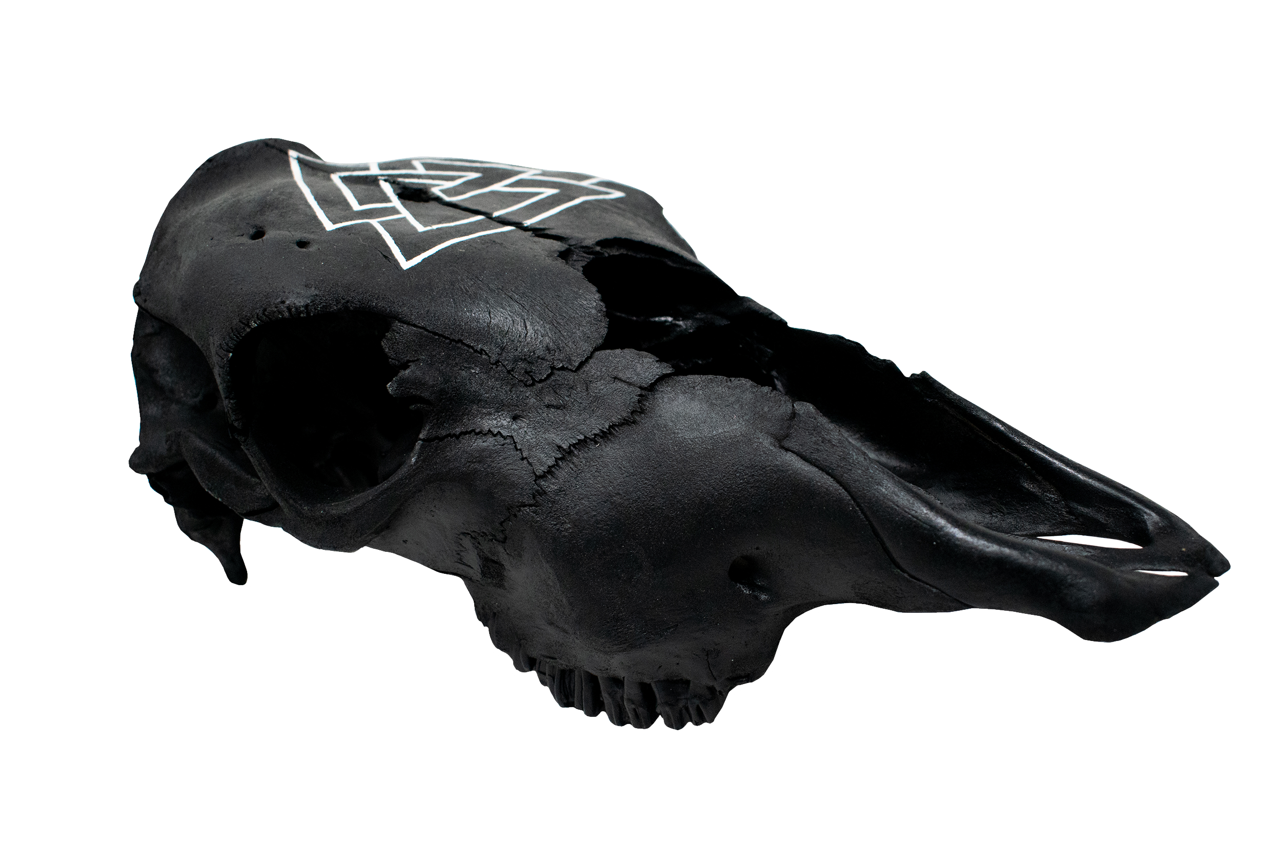 Blackened Cow Skull with Hand Painted Valknut