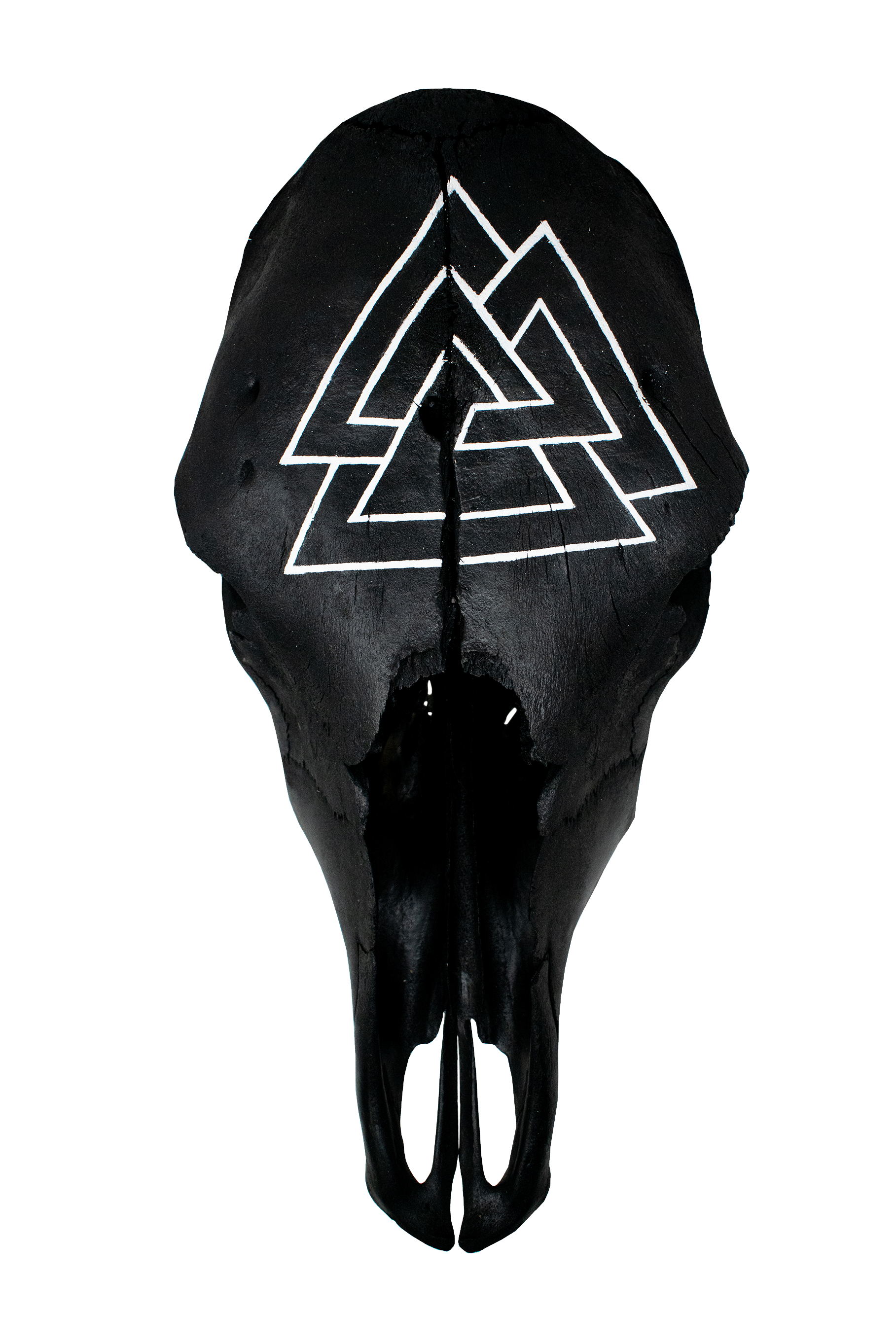 Blackened Cow Skull with Hand Painted Valknut