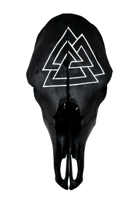 Blackened Cow Skull with Hand Painted Valknut