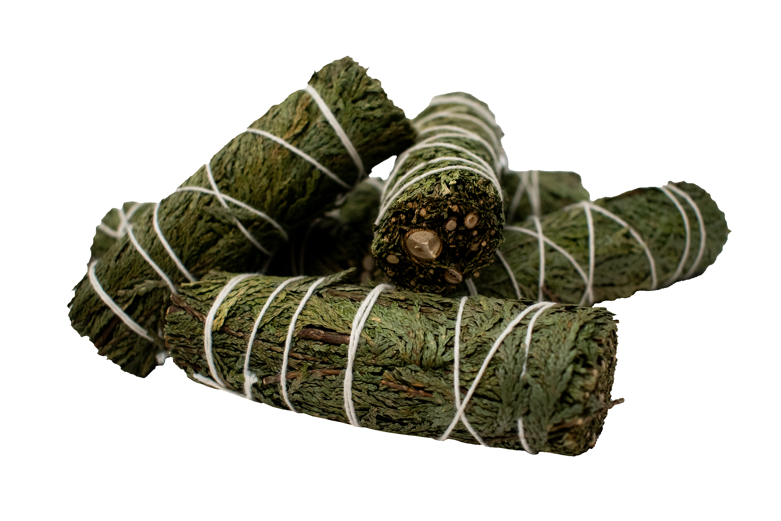 Cedar Herb Bundle