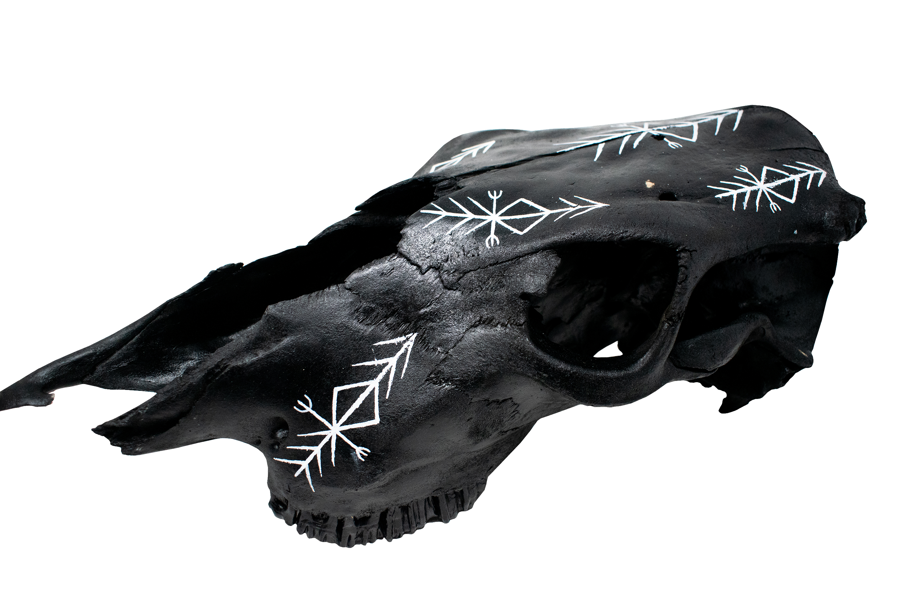 Blackened Cow Skull with Home Protection Bindrune #2
