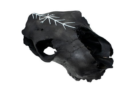 Image of Blackened Cow Skull with Home Protection Bindrune #3