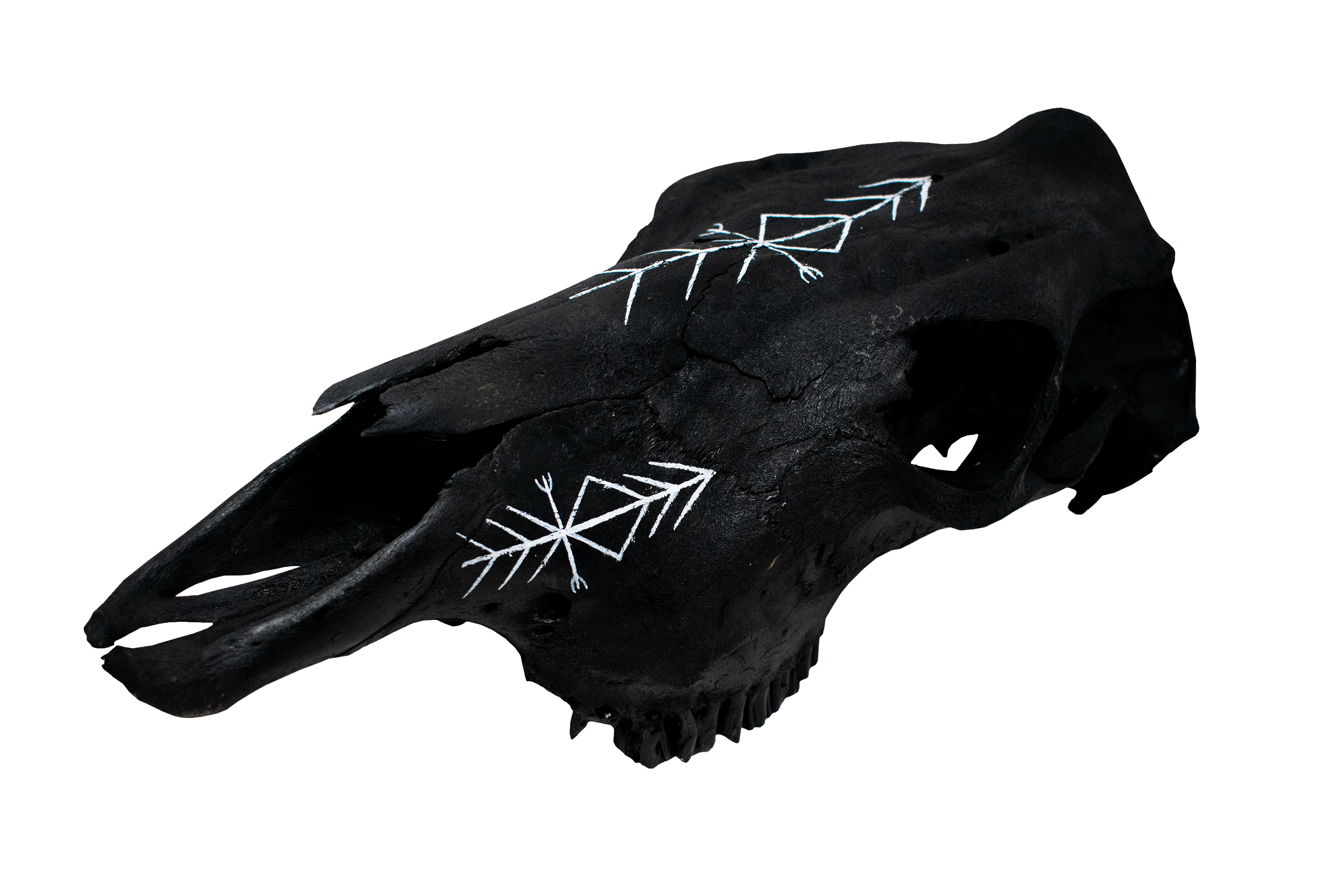Blackened Cow Skull with Home Protection Bindrune #4