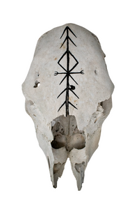 Cow Skull with Home Protection Bindrune #5