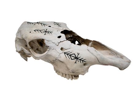 Cow Skull with Home Protection Bindrune #6