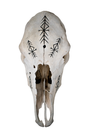Image of Cow Skull with Home Protection Bindrune #6