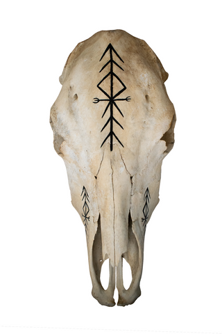 Image of Cow Skull with Home Protection Bindrune #7