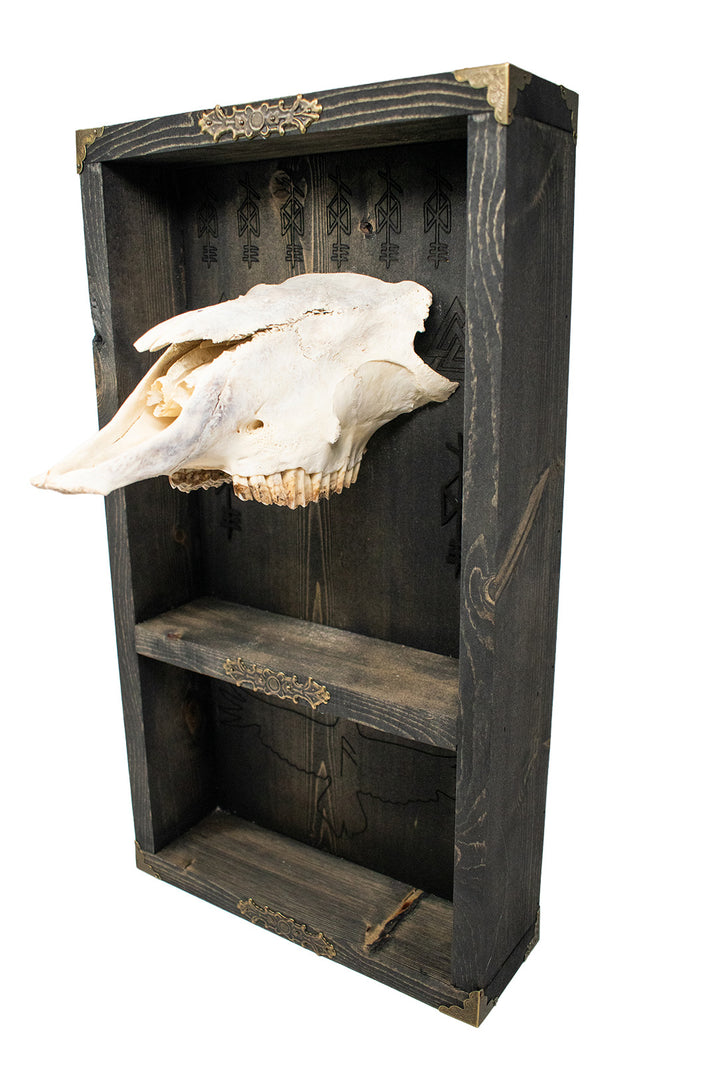 Odin bindrune sheep skull altar shelf