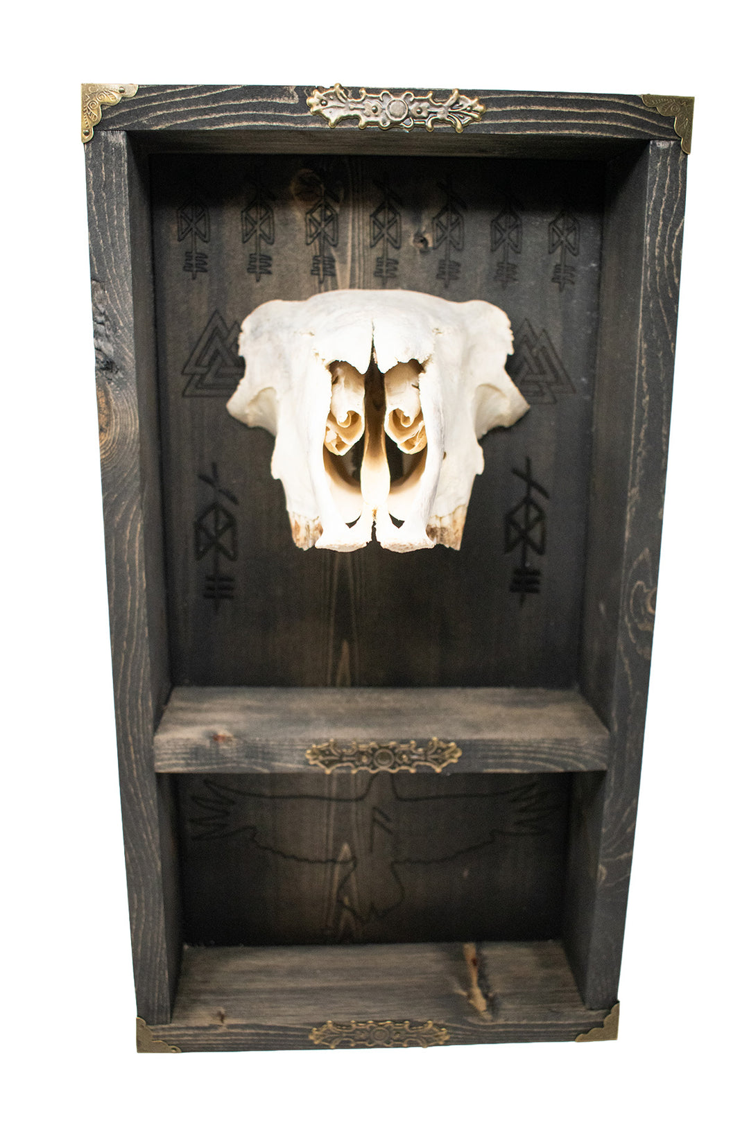 Odin bindrune sheep skull altar shelf