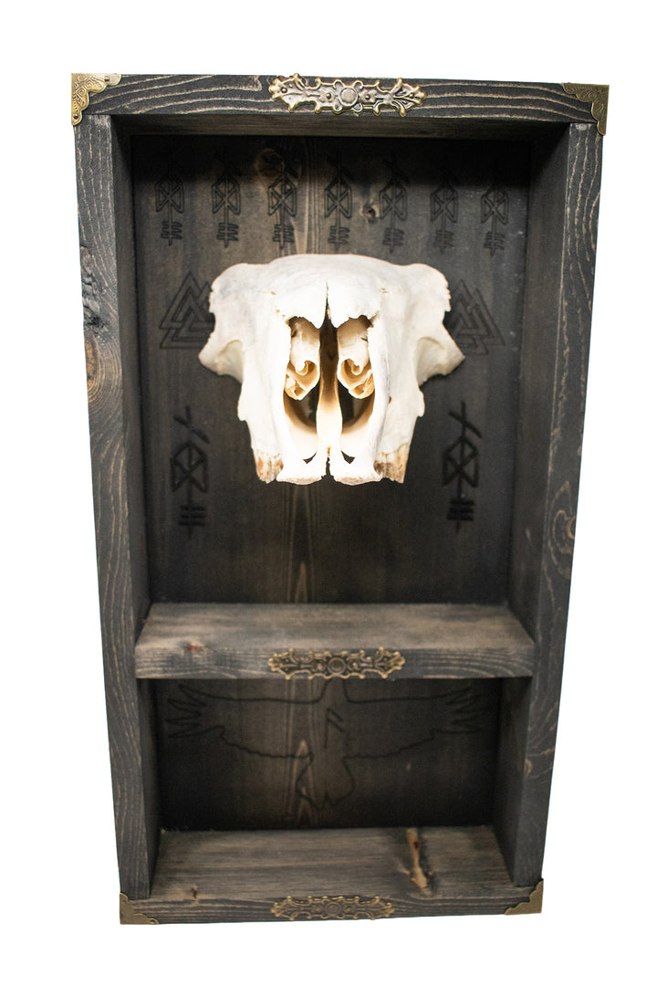 Odin bindrune sheep skull altar shelf