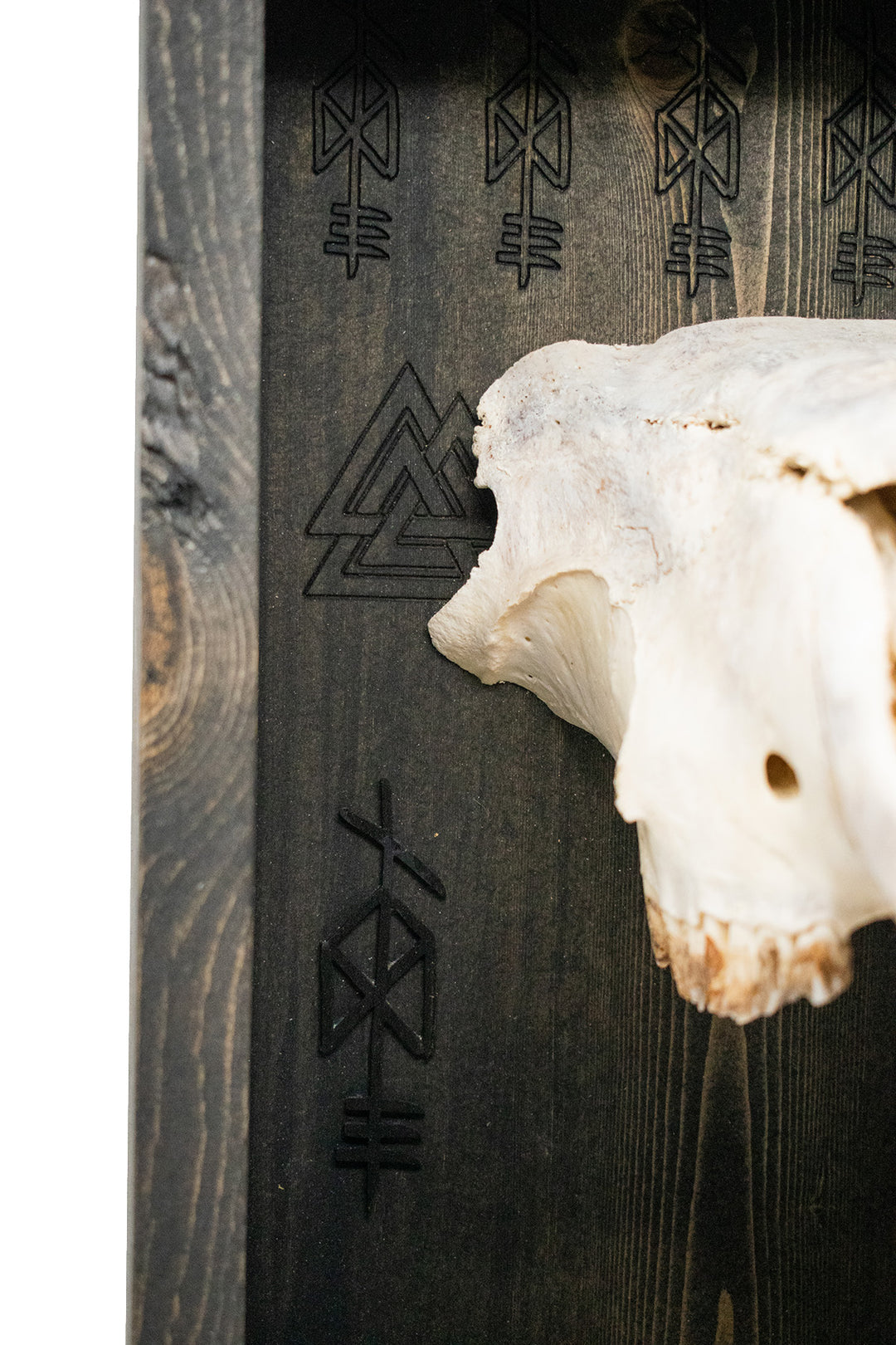 Odin bindrune sheep skull altar shelf
