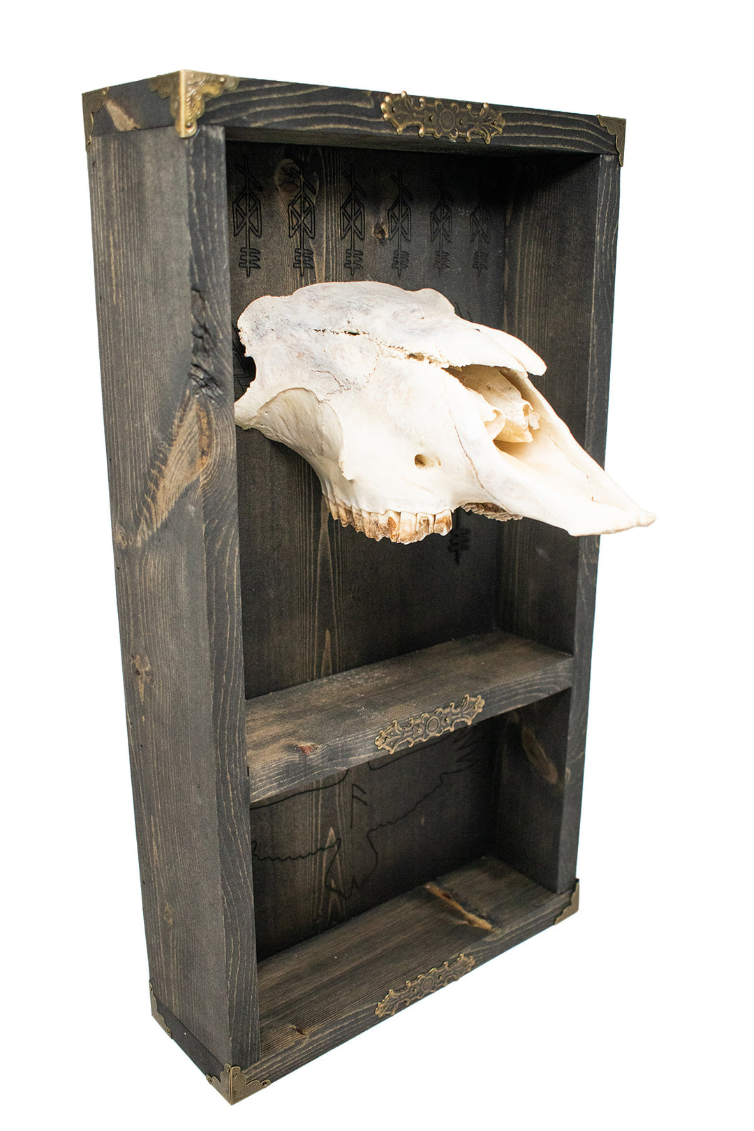 Odin bindrune sheep skull altar shelf