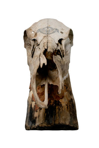 Elk Skull Wall Hanger – Norse Raven Design