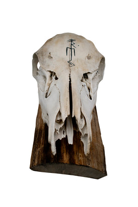 Elk Skull Wall Hanger – Freya Invocation Bindrune