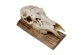 Elk Skull Wall Hanger – Helm of Awe and Vegvísir
