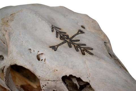 Image of Elk Skull Wall Hanger – Home Protection Bindrune