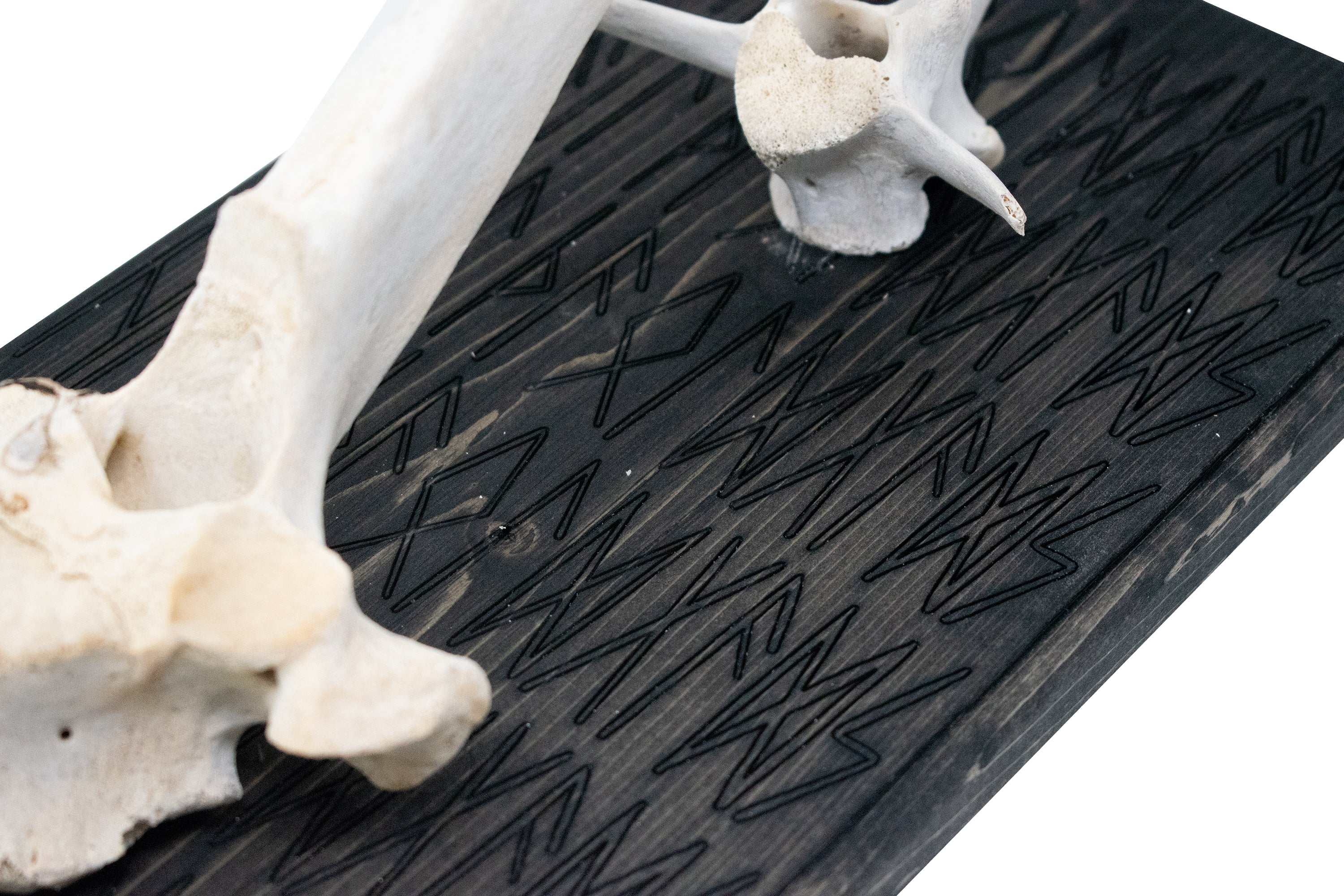 Hail the Old Gods – Elk Vertebra Wall Hanger