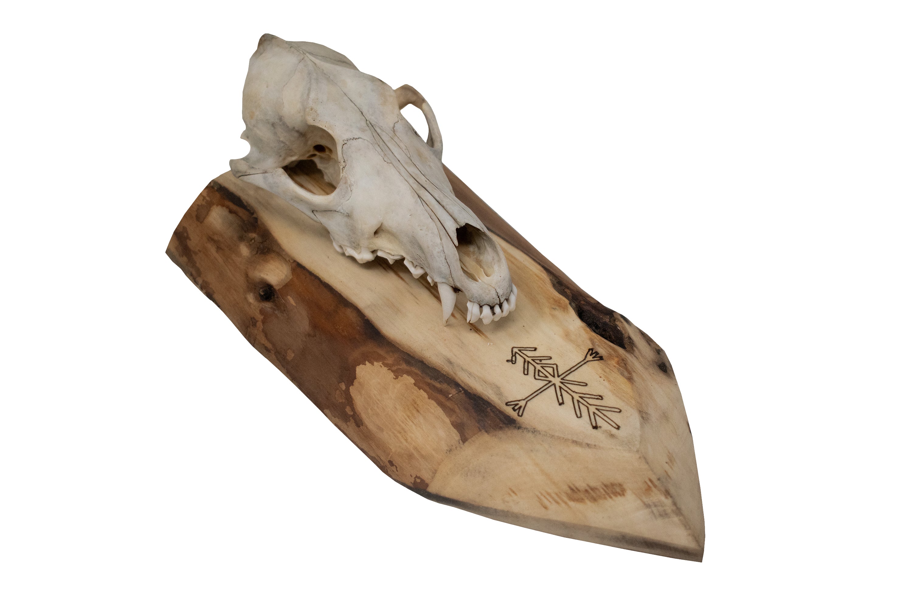 Coyote Skull Wall Hanger – Home Protection Bindrune