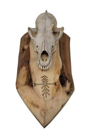 Image of Coyote Skull Wall Hanger – Home Protection Bindrune