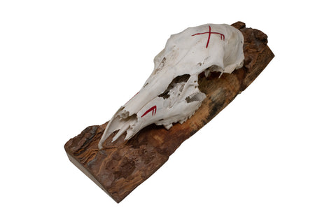 Image of Deer Skull Wall Hanger – Good Luck Bindrune