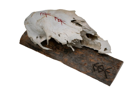 Image of Live edge home protection bindrune elk skull wall hanger