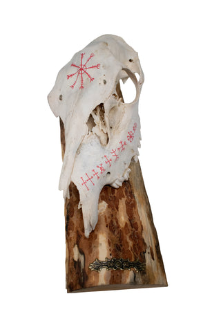 Image of Helm of Awe Elk Skull Wall Hanger