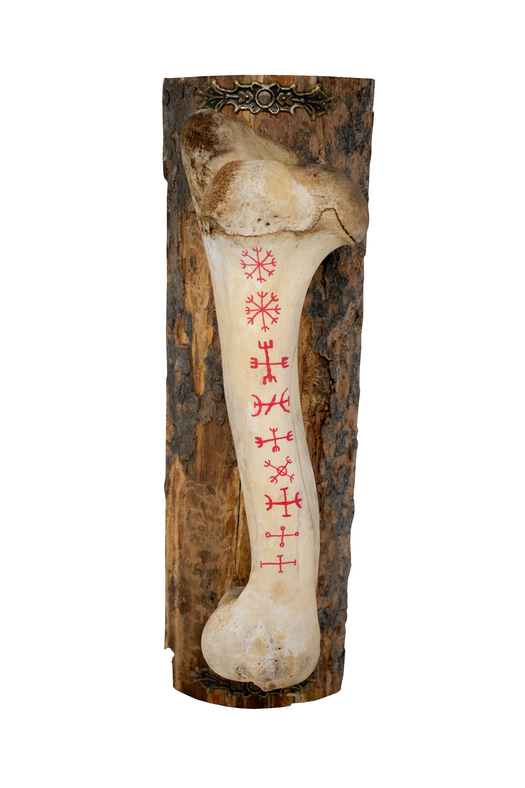 Painted Cow Leg Bone – The Nine Helms