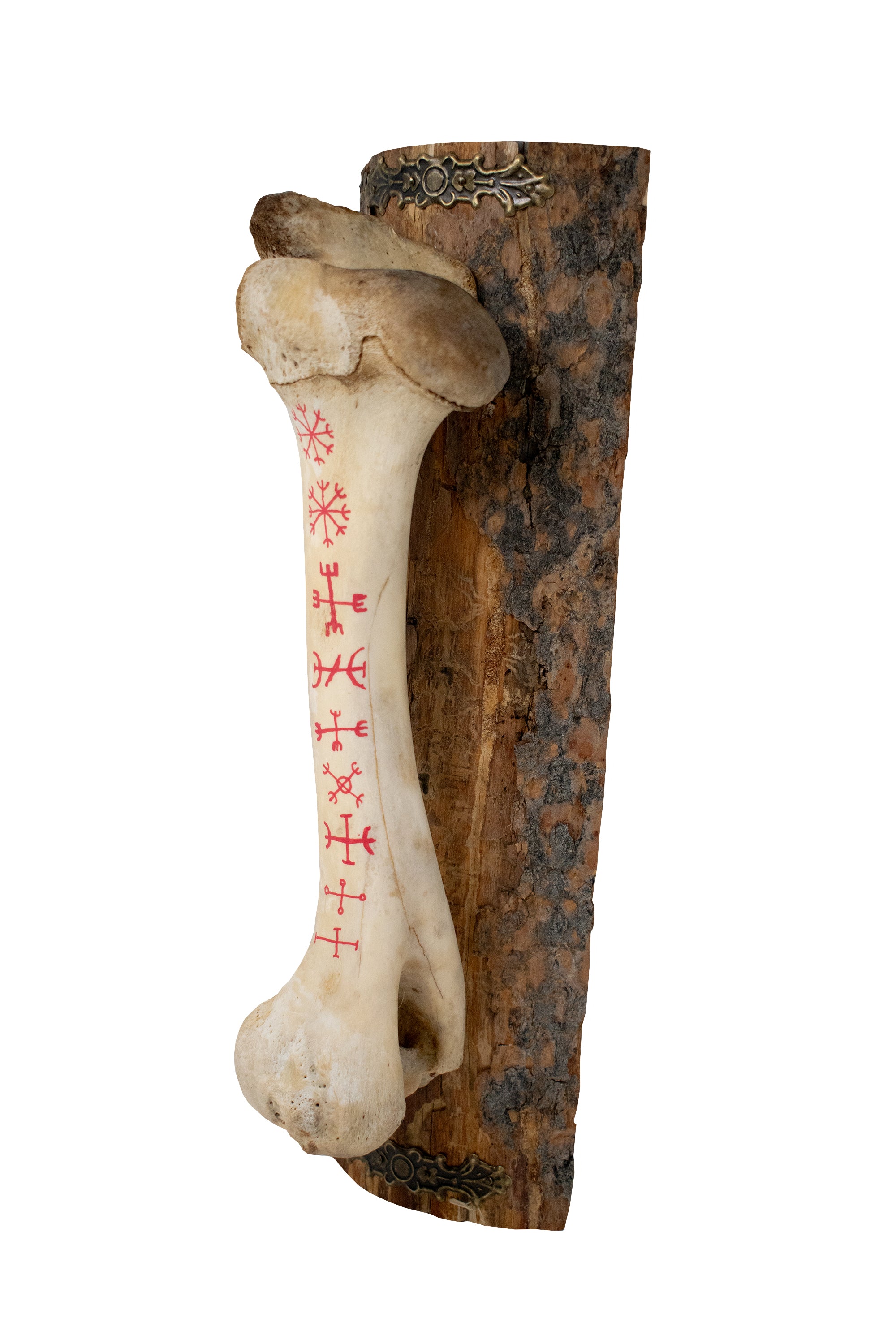 Painted Cow Leg Bone – The Nine Helms