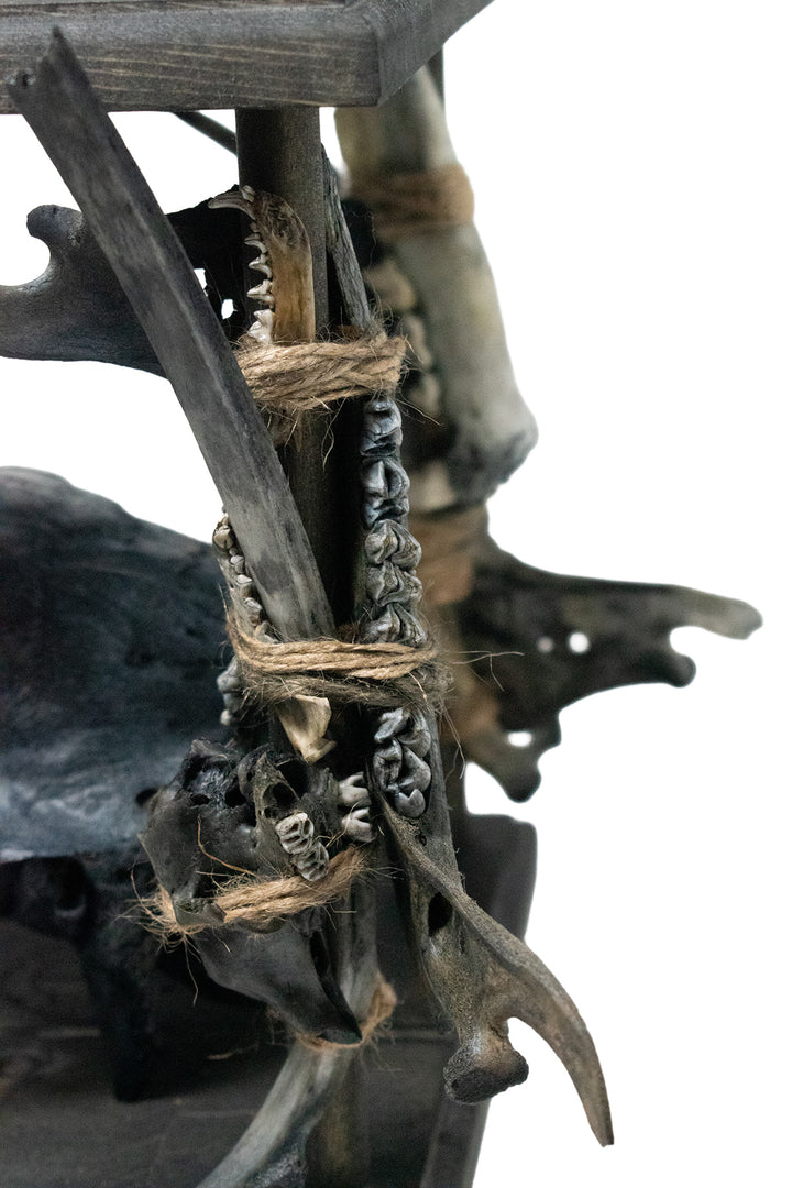 Deluxe blackened predator bone & icelandic magical stave ritual altar