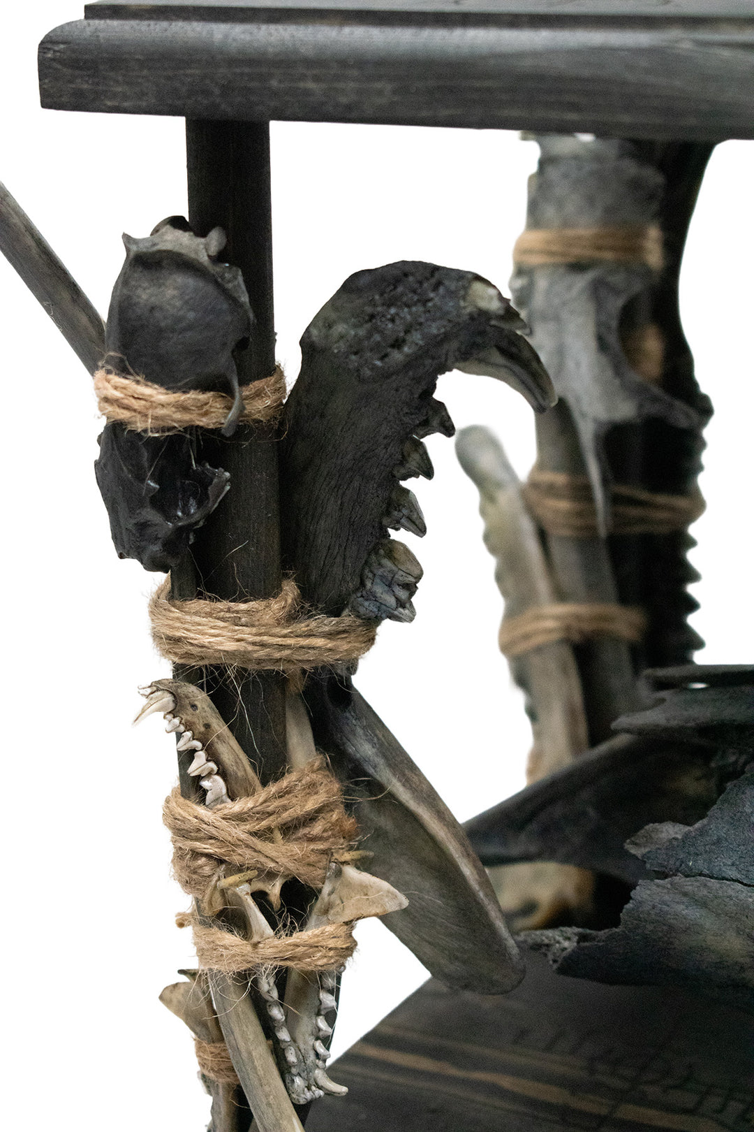 Deluxe blackened predator bone & icelandic magical stave ritual altar
