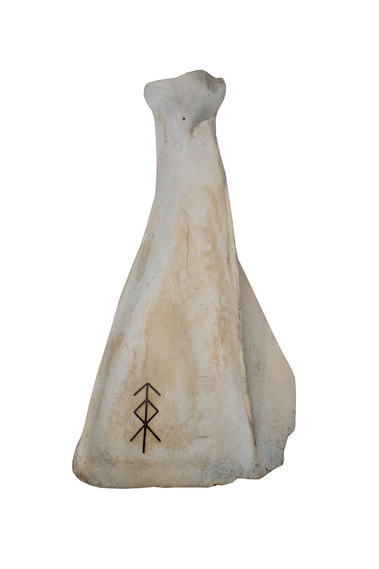 Engraved Cow Scapula Incense Dish – Ritual Bone Series