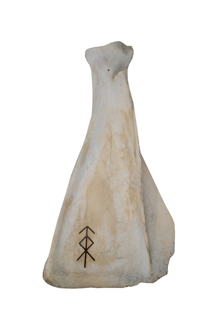 Engraved elk scapula incense dish – Ritual Bone Series
