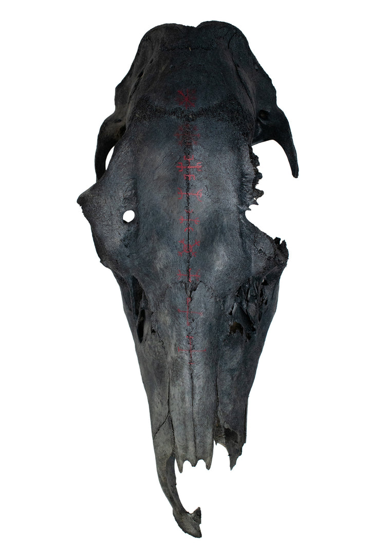 Deluxe blackened predator bone & icelandic magical stave ritual altar