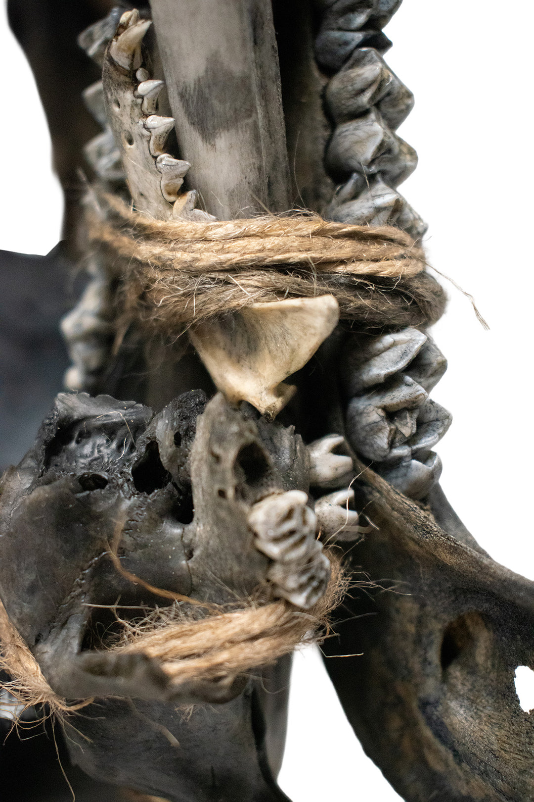 Deluxe blackened predator bone & icelandic magical stave ritual altar