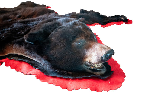 Image of black bear rug