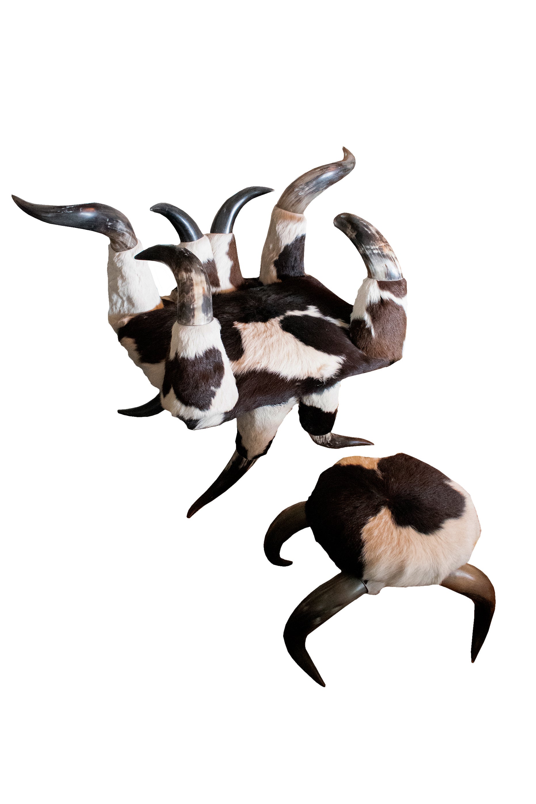 Cow Horn Throne and Ottoman Set