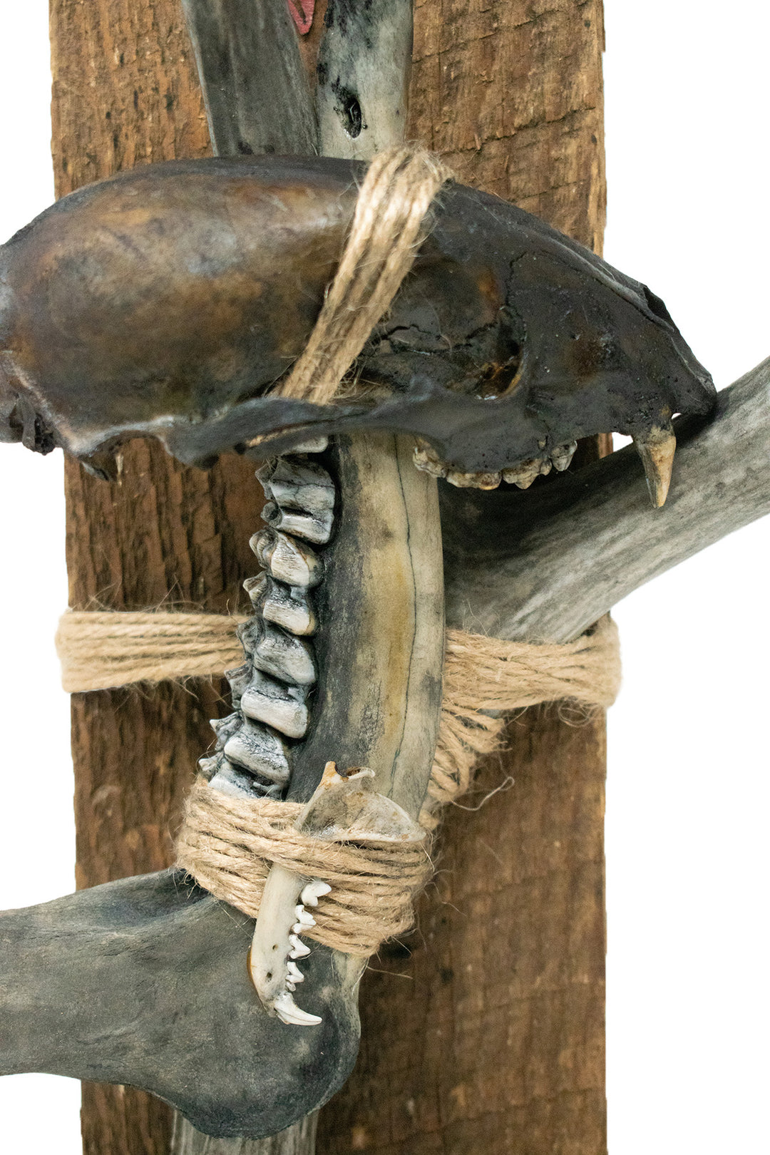 Blackened connection to the gods altar with bone sculpture