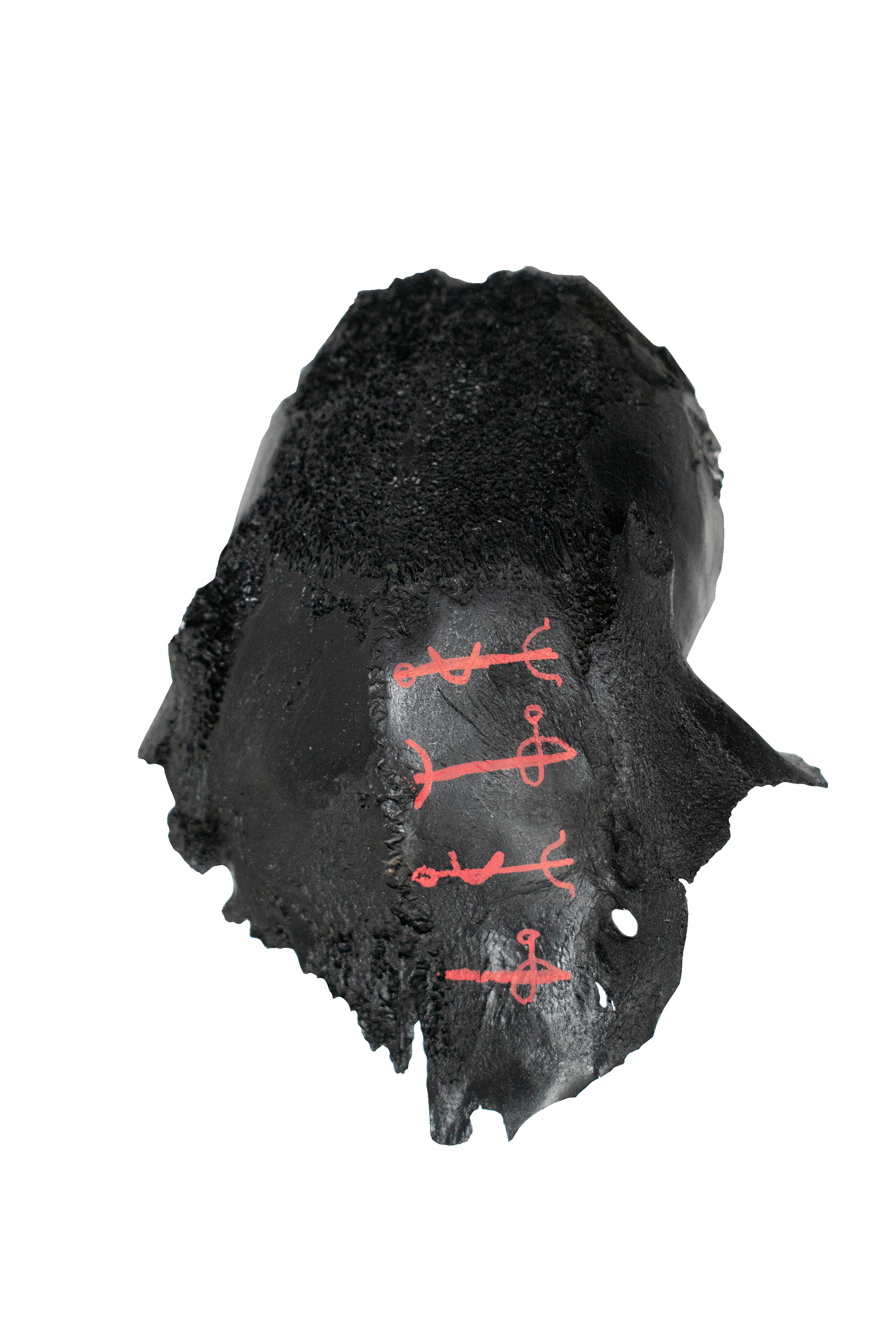 Blackened Ritual Bone Talismans — Hand Painted with Icelandic Staves