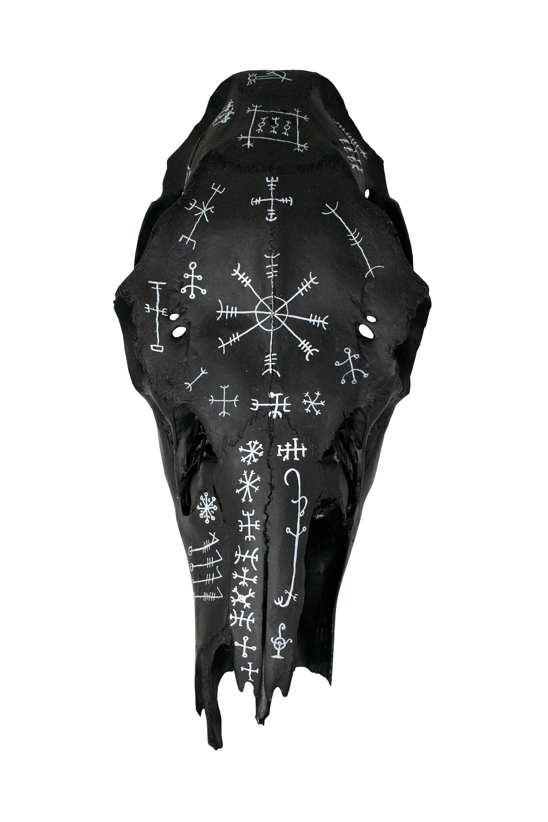 blackened icelandic magical stave elk skull