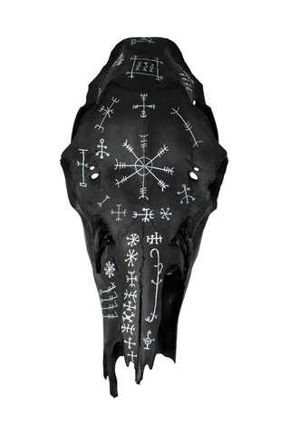 Image of blackened icelandic magical stave elk skull